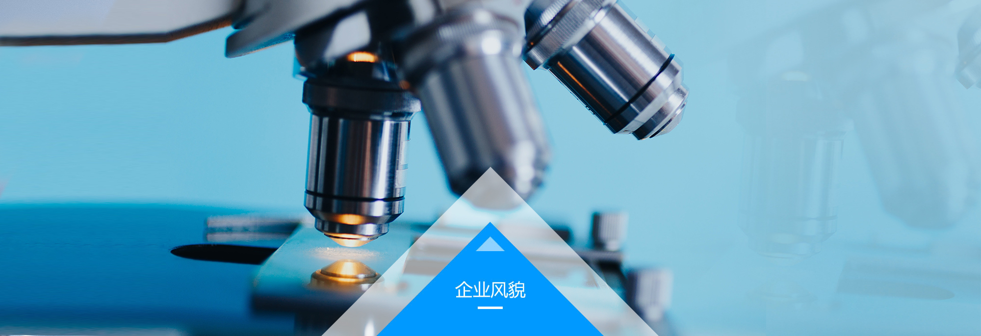 6686体育app浏览器